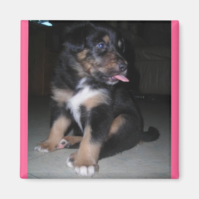 Puppy raspberry magnet (Framsidan)