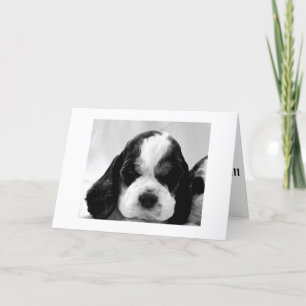 PUPPY SÄGER: "SÄG ATT DET INTE ÄR SÅ "ÖVER BACKE?" KORT