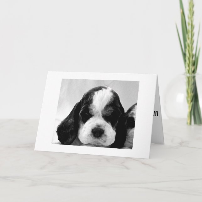 PUPPY SÄGER: "SÄG ATT DET INTE ÄR SÅ "ÖVER BACKE?" KORT (Framsida)