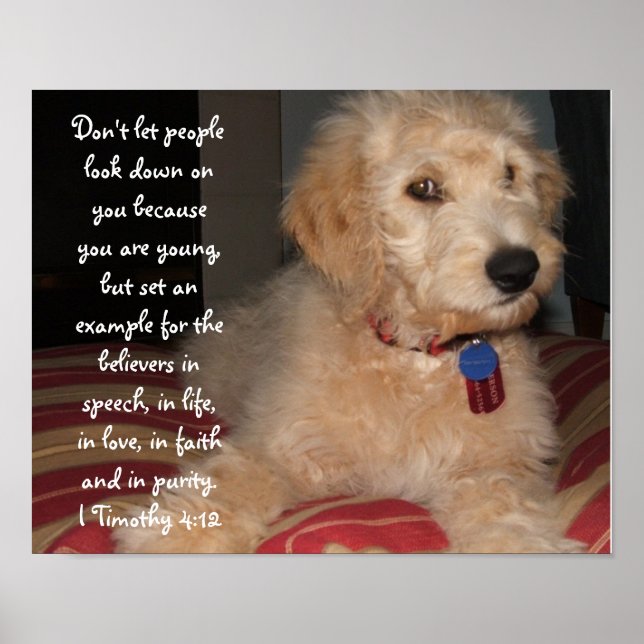 Puppy Sam Poster (Framsidan)