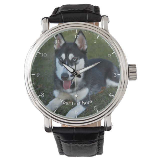 Puppy siberian husky armbandsur (Framsida)