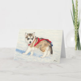 Puppy siberian husky i Snö Kort
