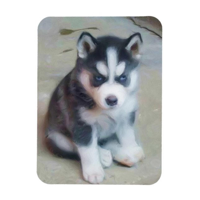 Puppy siberian husky magnet (Vertikal)