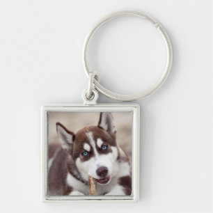 Puppy Siberian husky vid stranden Fyrkantig Silverfärgad Nyckelring