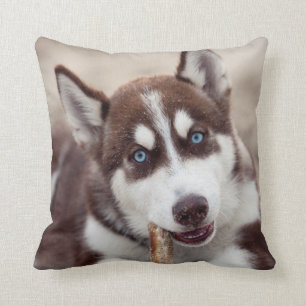 Puppy Siberian husky vid stranden Kudde