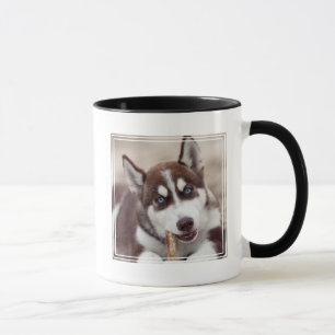 Puppy Siberian husky vid stranden Mugg