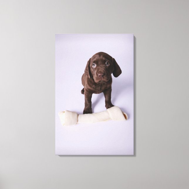Puppy Sitta av en bone Canvastryck (Framsida)