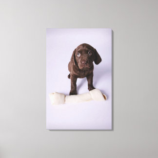 Puppy Sitta av en bone Canvastryck