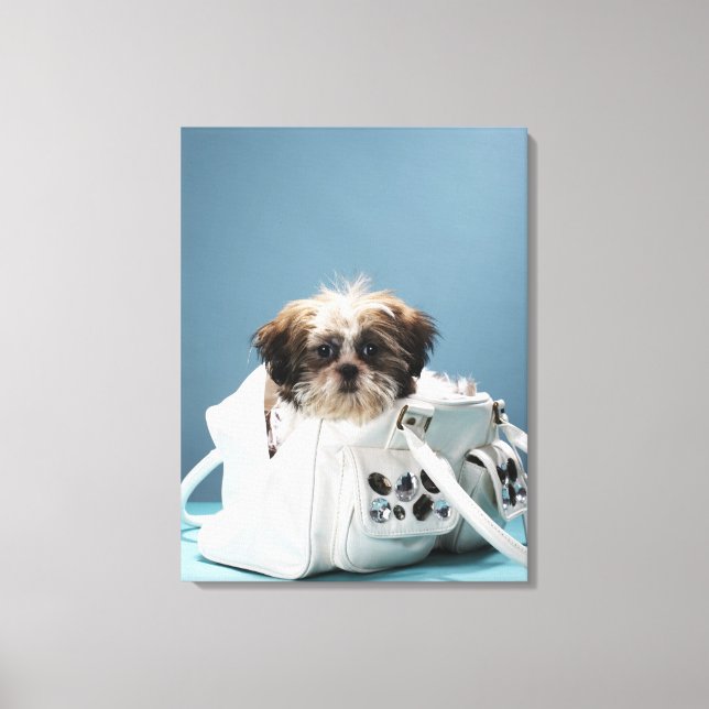 Puppy sitta i handväska canvastryck (Framsida)