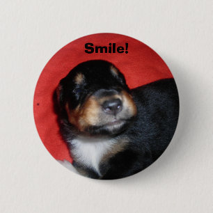 Puppy Smile Knapp