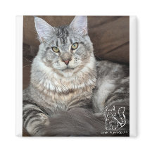 Puppy-Socks Magnet #4