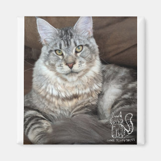 Puppy-Socks Magnet #4