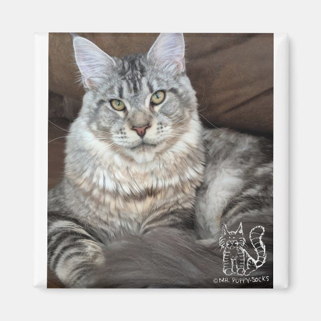 Puppy-Socks Magnet #4 (Framsidan)