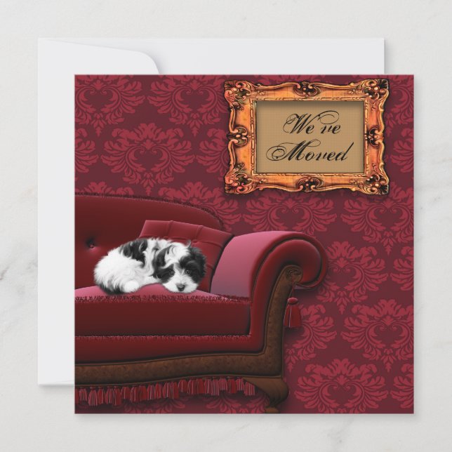 Puppy Soffa Byte av vykort för Adress (Framsida)