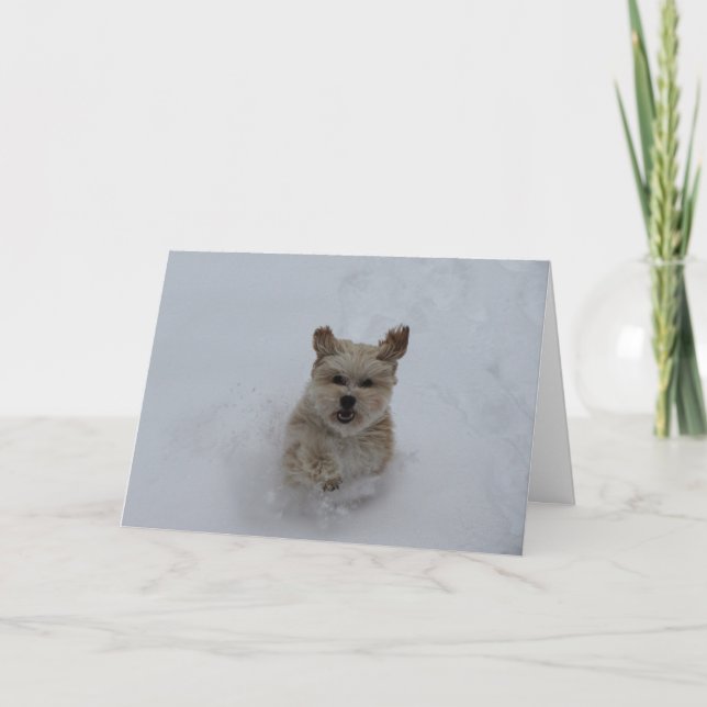 Puppy som går genom hälsningskortet i snö helgkort (Framsida)