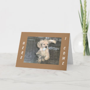 PUPPY SPANIEL KAN INTE VÄNTA PÅ ATT SÄGA *GRATTIS KORT