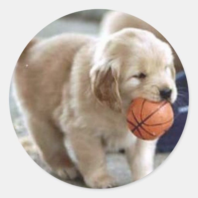 Puppy Stickers Runt Klistermärke (Framsida)