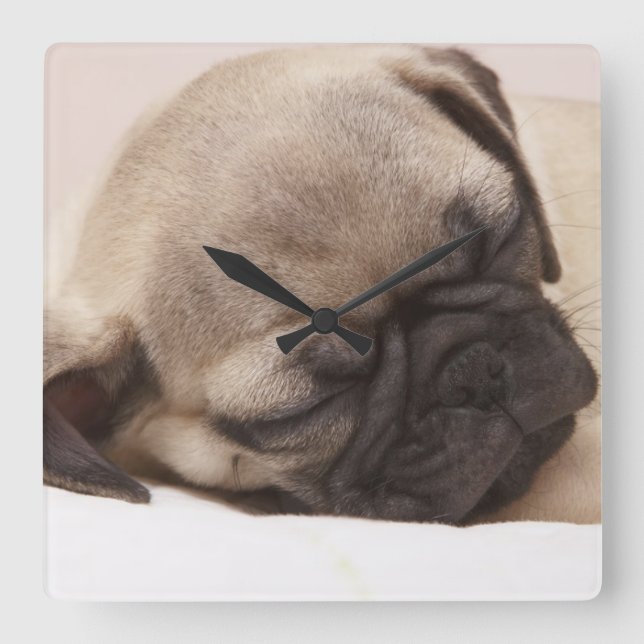 Puppy Sund Sleeping Fyrkantig Klocka (Framsida)