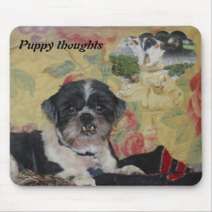 Puppy Thoughts Musmatta