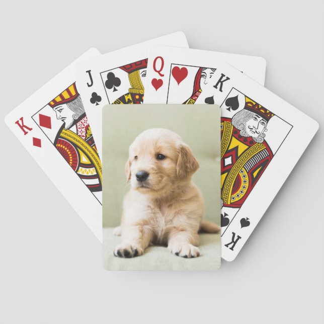 Puppy till Golden Retriever på soffan Casinokort (Baksidan)