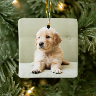 Puppy till Golden Retriever på soffan Julgransprydnad Keramik
