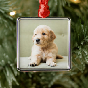Puppy till Golden Retriever på soffan Julgransprydnad Metall