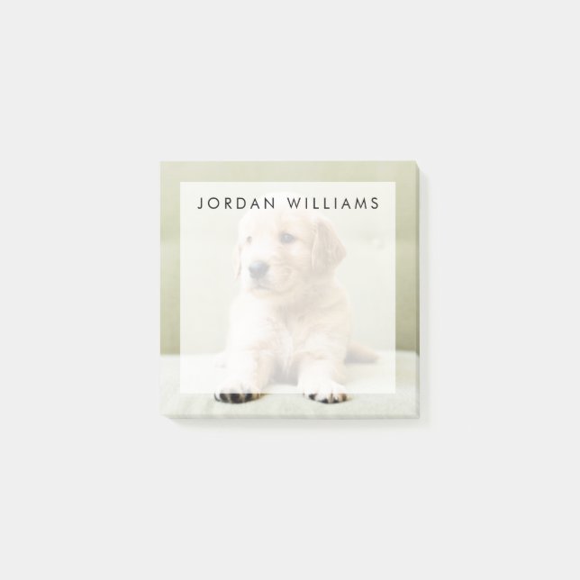 Puppy till Golden Retriever på soffan Post-it Block (Framsida)