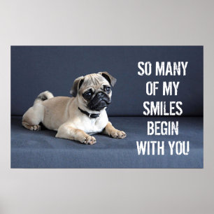 Puppy vid påfyllning av soffa poster