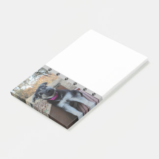 Puppy Waits på Trappor Post-it Notes
