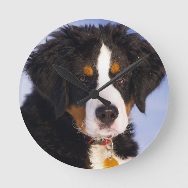 Puppy Wall Clock av Hund Bernese Mountain Rund Klocka (Framsida)