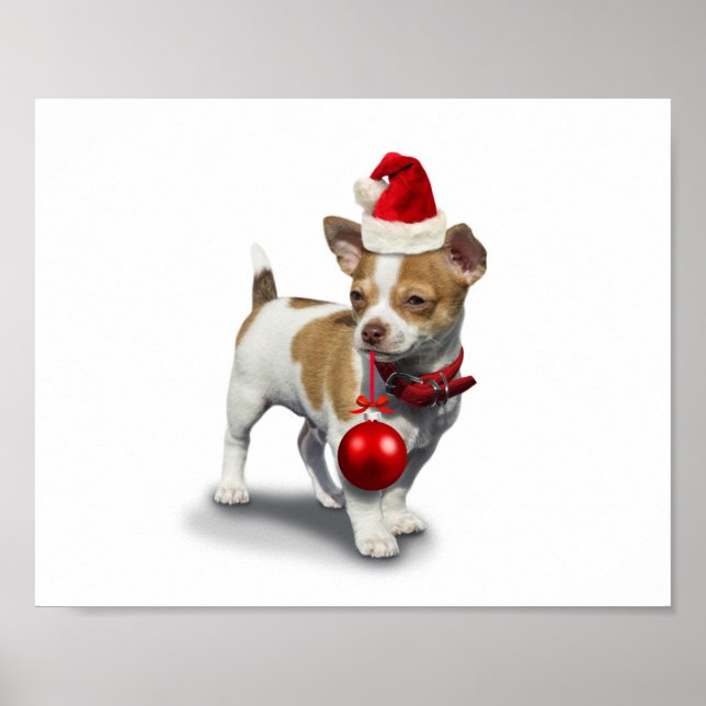 Puppy with christmas hat and Ball Poster (Framsidan)