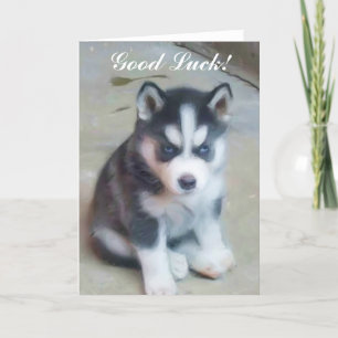 Puppykort för lycka till Siberian husky Kort