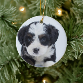 Puppys första jul julgransprydnad keramik
