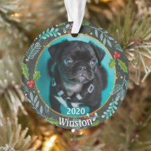 Puppys första julfoto