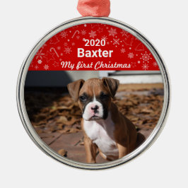 Puppys första julfoto julgransprydnad metall