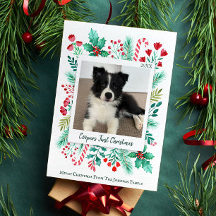 Puppys första julfoto Vattenfärg botaniska Julkort