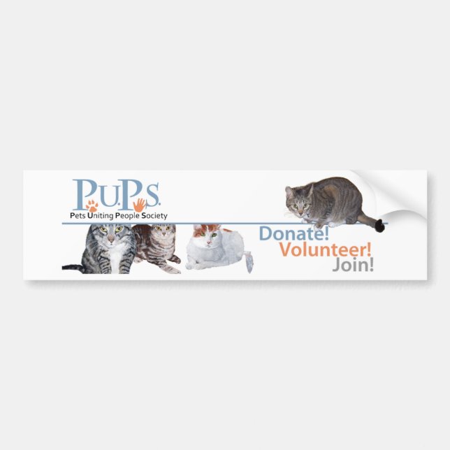 PUPs Logovaror med katter Bildekal (Framsidan)