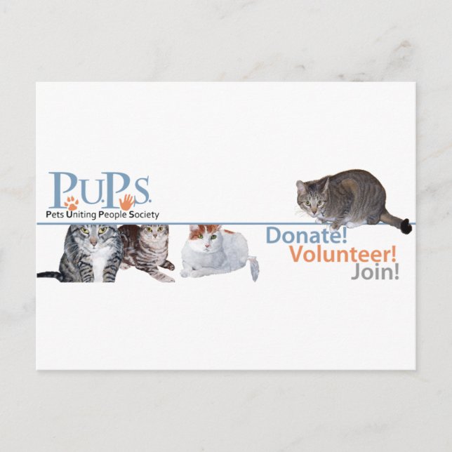 PUPs Logovaror med katter Vykort (Framsida)