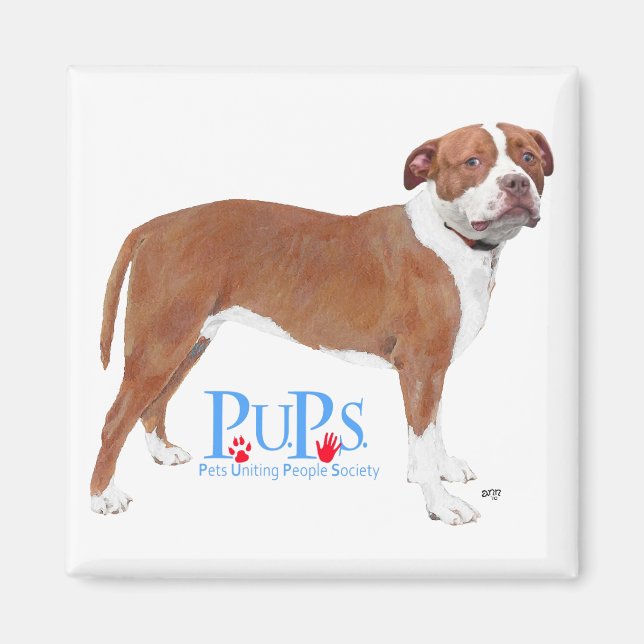 PUPs Räddade Pit Bull Magnet (Framsidan)
