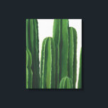 Pura Vida - Cacti Group Canvastryck<br><div class="desc">"Pura Vida II" av Grace Popp. Har kalk i varierande höjd.</div>
