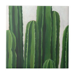 Pura Vida - Cacti Group Kakelplatta
