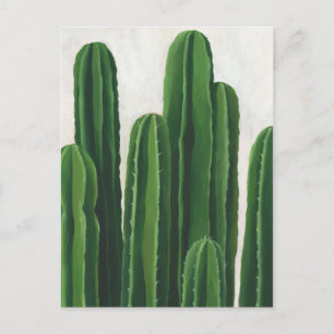 Pura Vida - Cacti Group Vykort