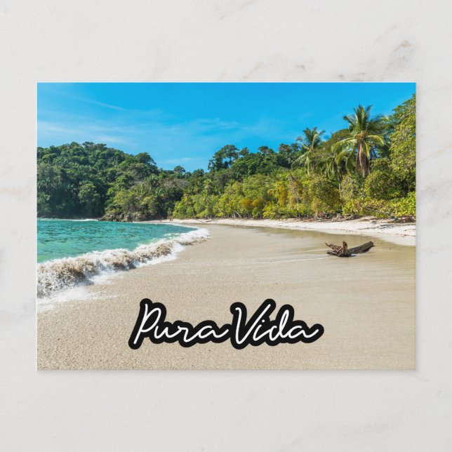 Pura Vida Costa Rica Beach Souvenir Postcard Vykort (Framsida)