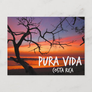 Pura Vida Costa Rica Beach Sunset Vykort