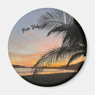 Pura Vida Dagaily Magnet