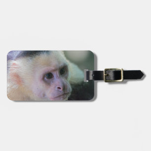 Pura vida for White head capuchin monkey Bagagebricka