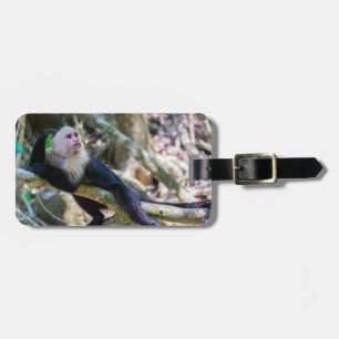 Pura vida for White head capuchin monkey Bagagebricka