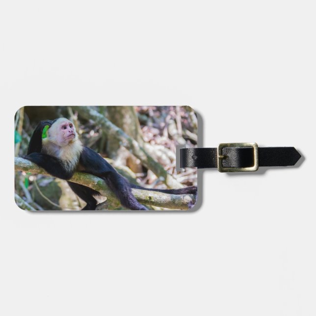 Pura vida for White head capuchin monkey Bagagebricka (Horisontell Framsida)