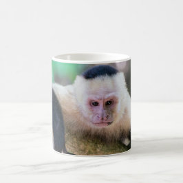 Pura vida for White head capuchin monkey Kaffemugg