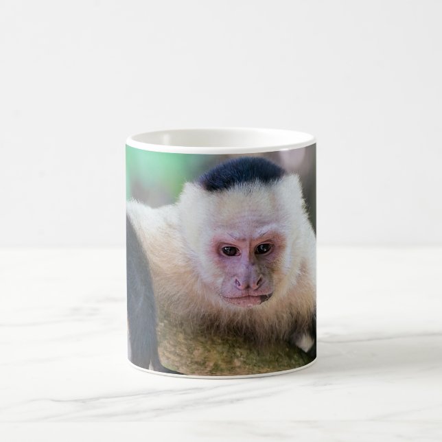 Pura vida for White head capuchin monkey Kaffemugg (Center)